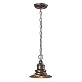 Elk 47011/1 Marina 1-Light Outdoor Hanging Pendent, 8 by 9-Inch, Hazelnut Bronze Finish [並行輸入品]