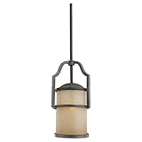 Sea Gull Lighting 61520-845 Roslyn Mini Pendant Light, Flemish Bronze [並行輸入品]