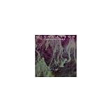 DIVINATION�`ambient dub volumeI