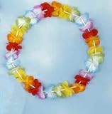 Silk Flower Lei (並行輸入品)