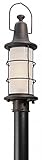 Troy Lighting Maritime 1-Light Outdoor Post Mount - Vintage Bronze Finish with Clear Seedy Outer/Fro