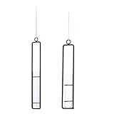 Baosity 高品質　透明　ガラス　花瓶　錬鉄　試験管型　吊り　装飾工芸品　実用的　贈り物　2個入り