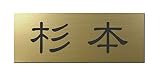丸三タカギ 彫り込み済表札 アクリル APG2-G-1-1-杉本 【完成品】