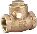 Red-White Valve 2RW246AB Lead Free Brass Swing Check Valve Threaded, 2" [並行輸入品]