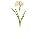 MAGIQ 東京堂 上質な造花  ダッフォディルフリル   クリームピーチ FM000080-006