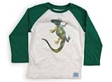 Gymboree(ジンボリー) Tシャツ・カットソー 100サイズ 男の子