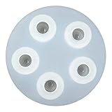 Craft Tamago 【1個】シリコンモールド 球体 12mm ビー玉 5個作れる 珠 玉 球 丸 ボール