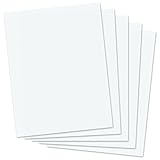 SmartSolve IT117138 8.5 x 11 Dissolving Paper (Pack of 25) [並行輸入品]