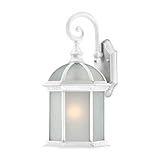 Nuvo Lighting 60/4984 Boxwood Energy Saving One Light Mid-Size Wall Lantern/Arm Down Bulb Included F