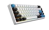 ARBITER Polar 65 - CNC 磁気ゲーミングキーボード ラピッドトリガー ホールエフェクトスイッチ CNCアルミニウムフレーム ラピッドトリガー 65%コンパクト ブライトRGB デュアルショット PBT キーキャップ - シルバーパンダ