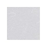 ワーロン ワーロンシート(薄雲竜) スタンダードタイプ 強化障子紙 0.2×930×2150mm （No.2-15G）