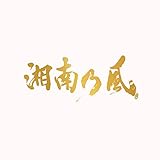 【Amazon.co.jp限定】湘南乃風～20th Anniversary BEST～ (通常盤)(3枚組)(特典:オリジナルアクリルキーホルダー)