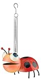 Regal Art & Gift REGAL05367 Bouncing Bugs Ladybug