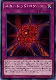 遊☆戯☆王/ Red Cocoon (共通) /ブースターSP : Highspeed Riders ( sphr-jp026 ) / A Japanese Single個々カード