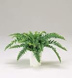 LION 人工植物　GS-111 品番57682