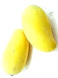 マンゴー Thai Sweet Mango 2 Seeds ThailandMrk