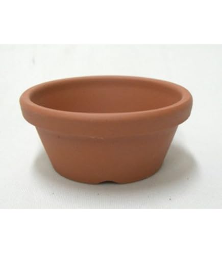 お買い得！SALE！不揃い商品　浅鉢7個22cm位 81 Amazon.co.jp: 鉢 KANEYOSHI 【日本製/安心の国産品質】 陶器