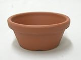 小品盆栽 仕立鉢 シオン鉢 2.5号浅鉢 10枚セット 硬質素焼き鉢