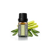Cywinfow シトロネラ精油 アロマオイル 100％天然植物由来 シトロネラエッセンシャルオイル 10ml (標準サイズ)