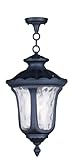 Livex Lighting 7858-04 Oxford 3 Light Outdoor Chain Hang, Black by Livex Lighting