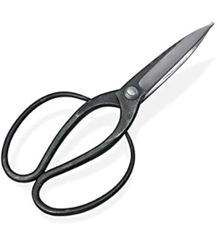 正定　植木鋏　3寸刃　庭師鋏 Amazon | 植木鋏 はさみ ハサミ 「佐保」 庭師 型 青紙 鋼 3寸刃