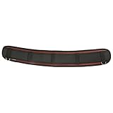 E-Value サポートベルト レッド ESB-1RED