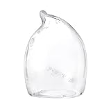 Dome-glass H100 銀箔入りホイップ