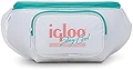 Igloo レトロ ホワイト ファニーパック