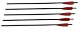 5 Pack of 22" Arrows w/ /Field Point by WMU [並行輸入品]