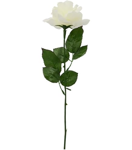 Amazon｜スワロフスキー ガーデンテイルズ ローズレッド ワン