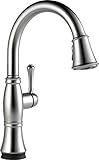 Delta Faucet 9197T-AR-DST Cassidy Single Handle Pull-Down Kitchen Faucet with Touch2O Technology and