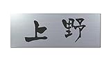 丸三タカギ 彫り込み済表札 アクリル APG2-S-1-3-上野 【完成品】