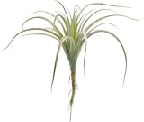 丸和貿易 造花 フェイクプランツ エアプランツ (M) 造花 フェイクプランツ エアプランツ (M) 【3点】