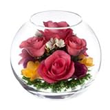 レンデフロール（Reine De Fleur） ハンドメイドドライフラワー バラ・フリージア AS-L