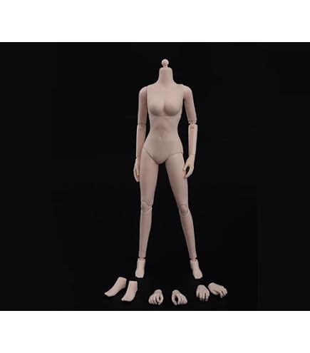 Amazon | HiPlay ZYTOYS 1/6 半シームレス女素体 ZY-B009 小胸版 女性