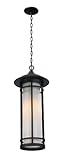 Z-Lite 529CHB-BK Outdoor Chain Light with Aluminum Frame Matte Opal shade by Z-Lite