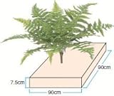 タカショー 【観葉植物・グリーンデコ和風】 硬質スチロール（敷床用） KS-90