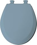 Bemis Mfg 46ec 034ラウンド成形ウッドトイレ便座、easy-clean &変更ヒンジ、スカイブルー ツイン 46EC 034