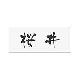 丸三タカギ 彫り込み済表札 アクリル APY1-W-1-3-桜井 【完成品】