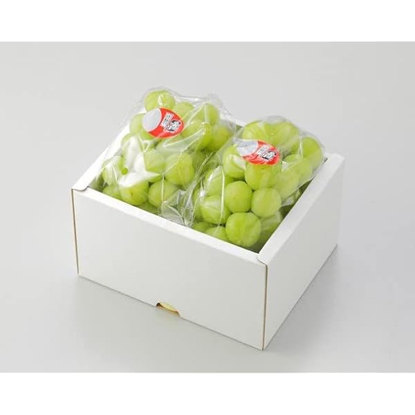 ぶどう様(⁠ノ⁠◕⁠ヮ⁠◕⁠)⁠ノ⁠*⁠.⁠✧ もう家から出ないぞの気持ち🍻