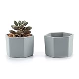 T4U 7CM 陶器ミニ植木鉢 六角形 マット表面 多肉植物 サボテン鉢 フラワーポット プランター容器 灰緑色 2個入り