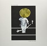 A PLANE OVER WOODS [Analog]