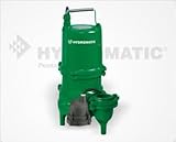 Hydromatic SK60M1 Cast Iron Sewage Pump [並行輸入品]