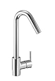 Danze DH400377 Cain Single Handle Kitchen Faucet, ChromeDanze DH400377カインシングルハンドルキッチン蛇口、クロム [並行輸入品]
