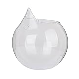 ガラスの花瓶，SODIAL(R) クリア球状のガラスの花瓶の斜面ボトル、植物の花の装飾