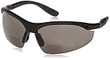 Radians CH1-220 Cheaters Nylon Frame Reading Safety Glasses with Smoke 2.0 Lens [並行輸入品]