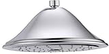 Delta Faucet RP72568 Cassidy Showerhead, Chrome [並行輸入品]