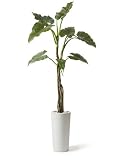 GREENPARK エレファントイヤー プランター H50 ウッドチップ 造花 フェイクグリーン