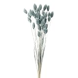 東京堂 ドライフラワー　 ポアプランツ L約40.0cm 1束15ｇ入 FD042020-235