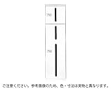 新協和 カーゴボックス ダイヤル錠式 SK-CBX-103-AV アイボリー